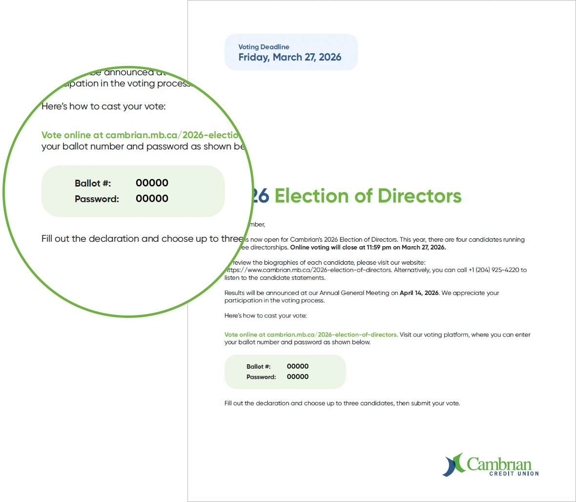 Image of the business ballot